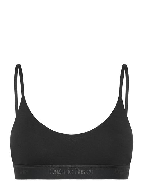 Organic Basics | Core Open Back Scoop Bralette | L