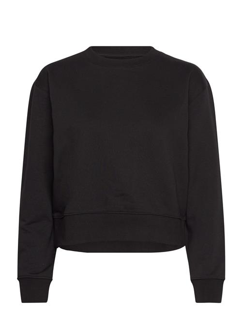 Organic Basics | Weekend Crop Crewneck | XXS