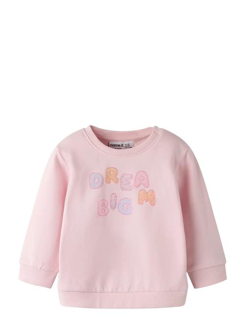 name it | Nbfdelia Ls Swe Bru | 62