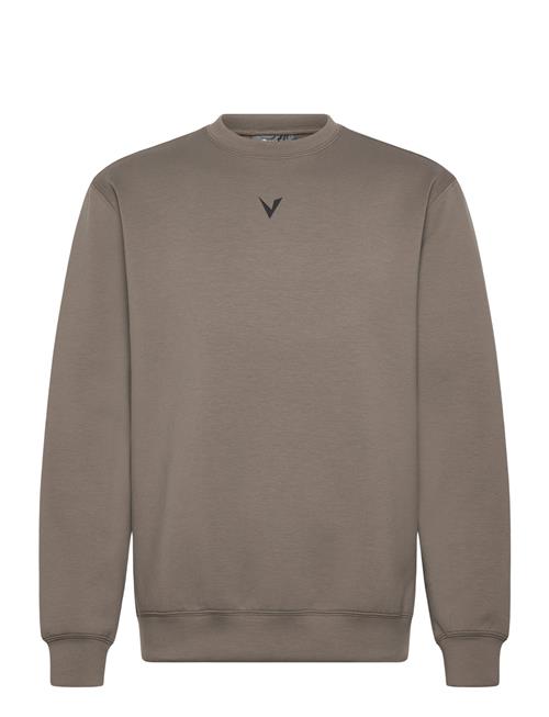 Virtus | Taro M Crew Neck | M