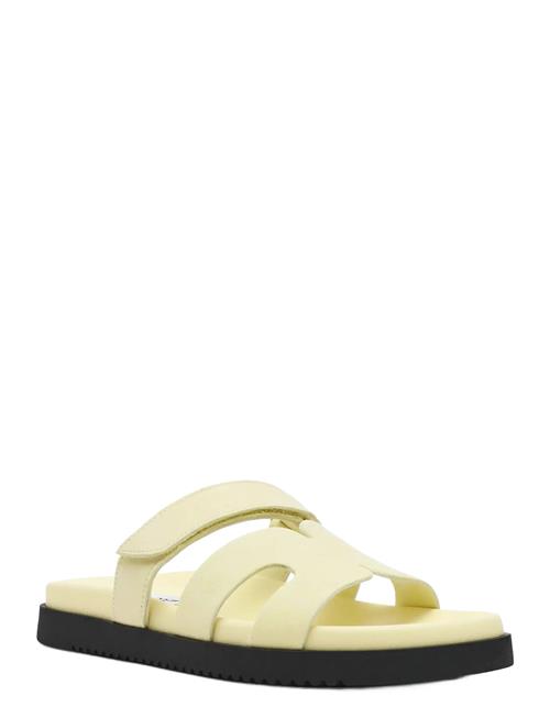 Steve Madden | Missile-E | 36