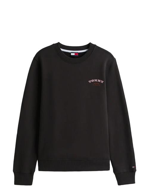 Tommy Jeans | Tjw Reg Dollar Stacks Crew Ext | L