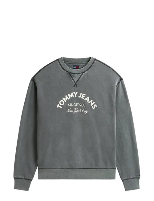 Tommy Jeans | Tjm Reg Gmd Applique Crew | XS