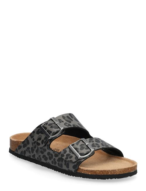 Exani | Spectra Leo W | 37