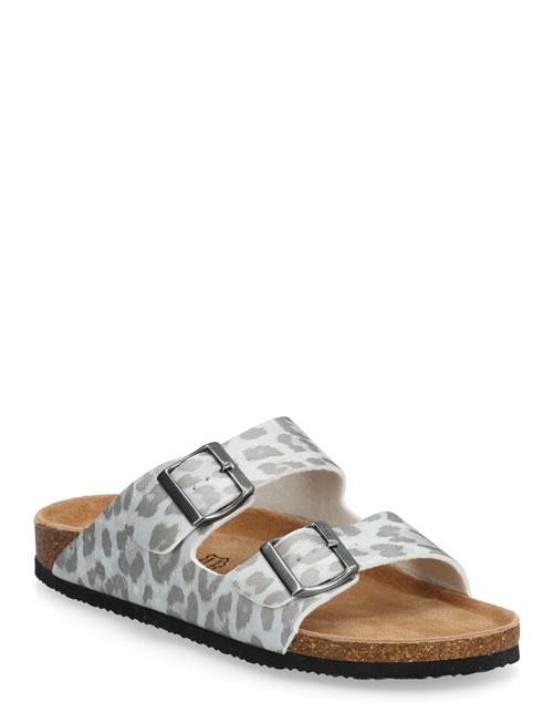 Exani | Spectra Leo W | 40