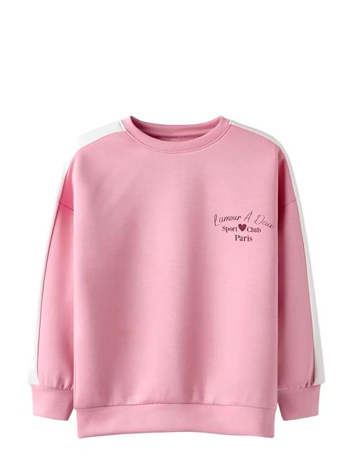 name it | Nkfneha Ls Nreg Swe Lnoos | 134-140