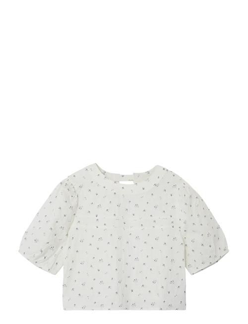 LMTD | Nlfheersa Ss Crop Top | 170-176