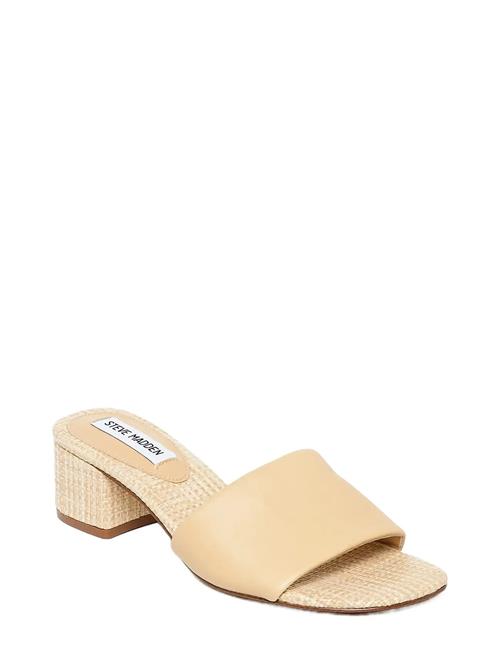 Steve Madden | Blanche | 40