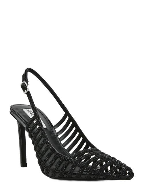 Steve Madden | Carleigh | 41