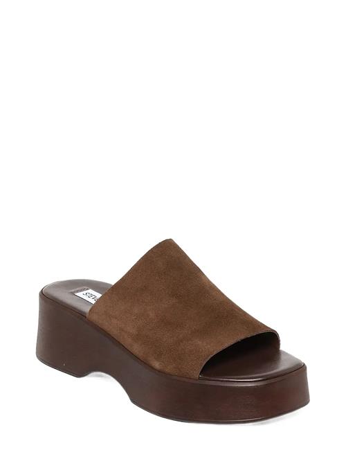 Steve Madden | Slinky30 | 40