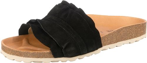 VERBENAS Pantoletter 'Rocio'  sort