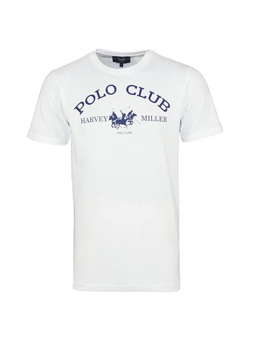HARVEY MILLER Bluser & t-shirts 'Polo Club'  mørkeblå / hvid