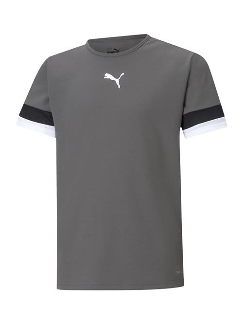 PUMA Funktionsskjorte 'TeamRise'  mørkegrå / sort / hvid