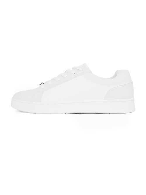 Calvin Klein Sneaker low 'LEO'  hvid / naturhvid