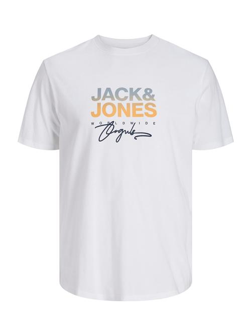 Jack & Jones Plus Bluser & t-shirts 'JORCanggu'  lyseblå / gul / sort / hvid