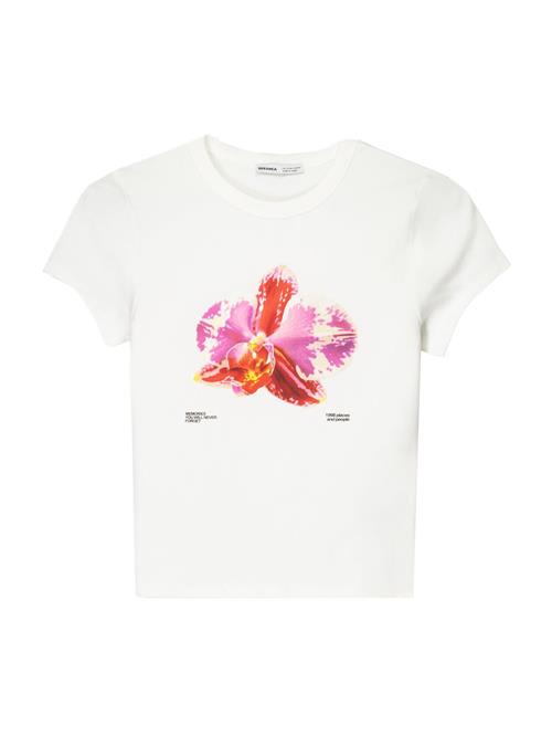 Bershka Shirts  pink / rød / uldhvid