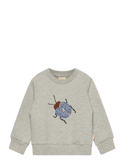 Petit Piao | Ppdov Sweat Shirt | 116