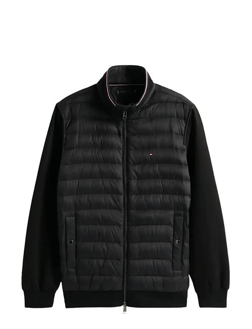 Tommy Hilfiger | Mix Media Ess Rwb Stand Collar | S