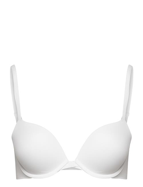 Calvin Klein | Push Up Plunge | B x 75