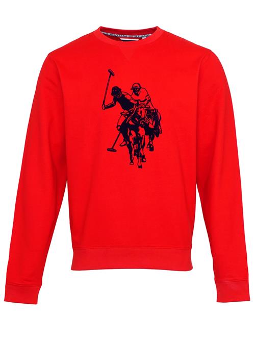 U.S. POLO ASSN. Sweatshirt  rød / sort