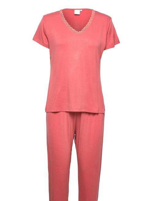 CCDK Copenhagen | Joy S/S Pj Set | XXL
