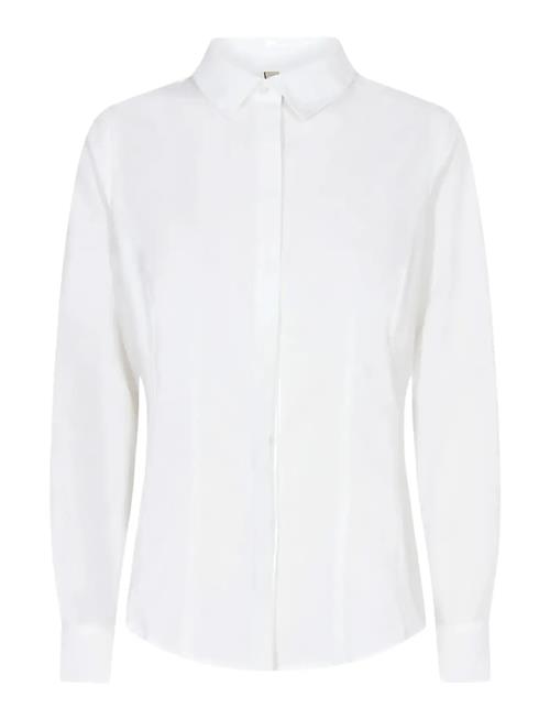 Soyaconcept | Sc-Netti | XL