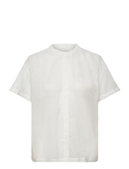 Lollys Laundry | Myall Shirt Ss | L