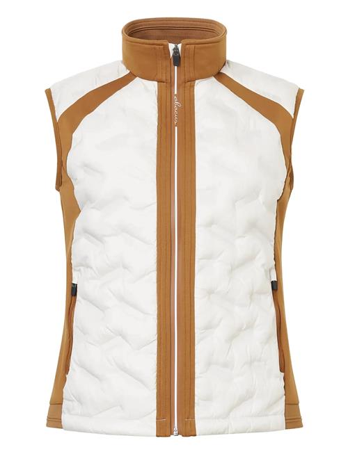 Abacus | Lds Portrush Hybrid Vest | XS