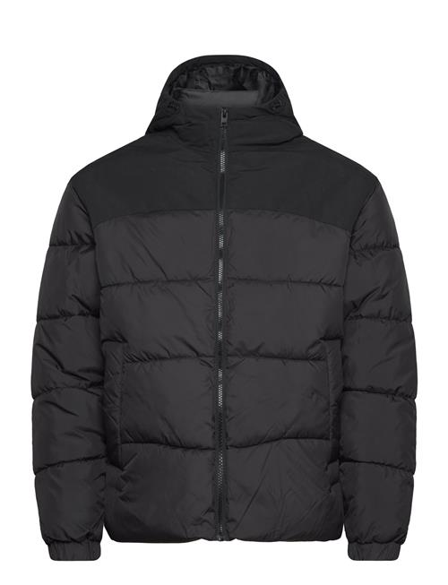 Jack & Jones | Jjmoon Hood Puffer | L