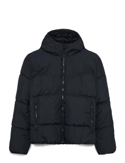 Hollister | Hco. Guys Outerwear | S