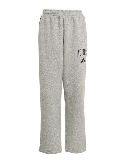 adidas Sportswear | J Clgt Fl Pnt | 140