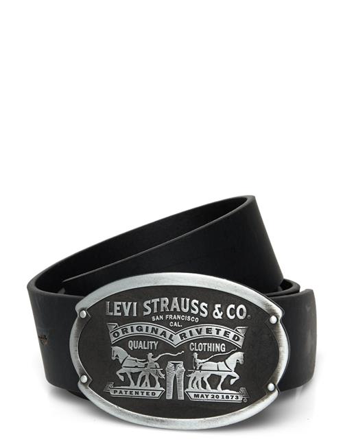 Levi's® | Billy Plaque Belt Regular Blac | 80