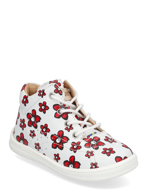 Kavat | Edsbro Xc | 23