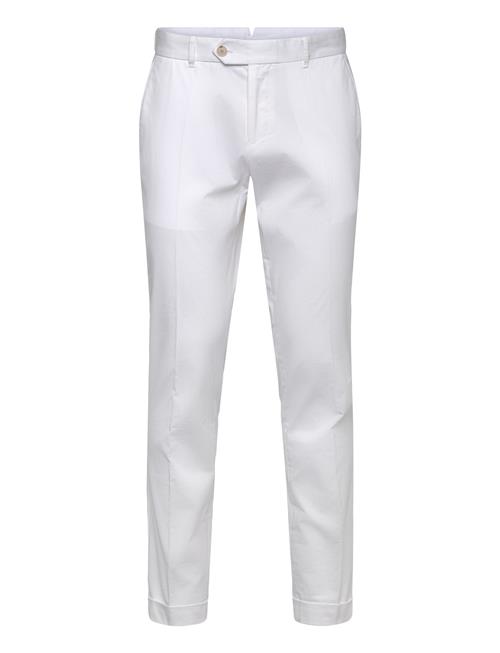 BOSS | C-Genius-Tu-Wg-261F | 50