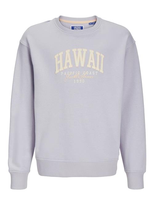 Jack & Jones Junior Sweatshirt 'Detroit'  creme / lysegul / grå