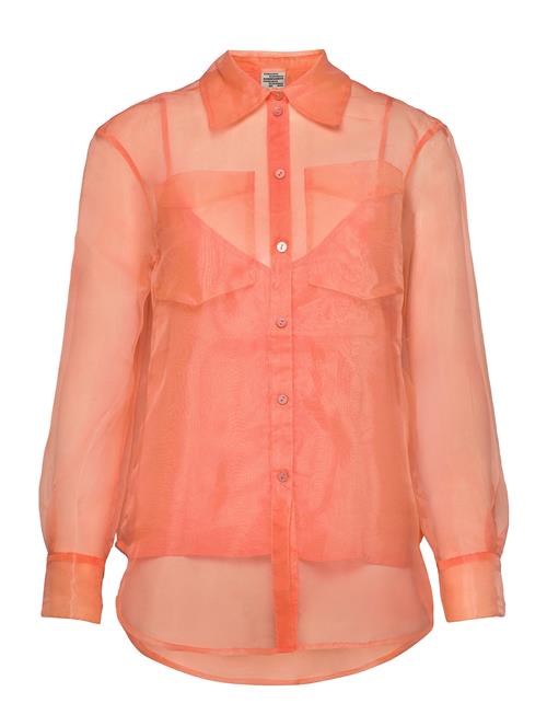 Baum und Pferdgarten | Minty | 38