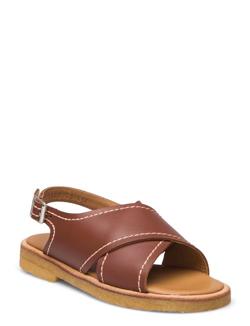 ANGULUS | Sandals - Flat - Open Toe - Op | 36 x 23.70