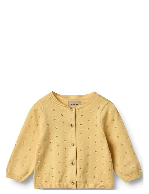 Wheat | Knit Cardigan Maia | 62