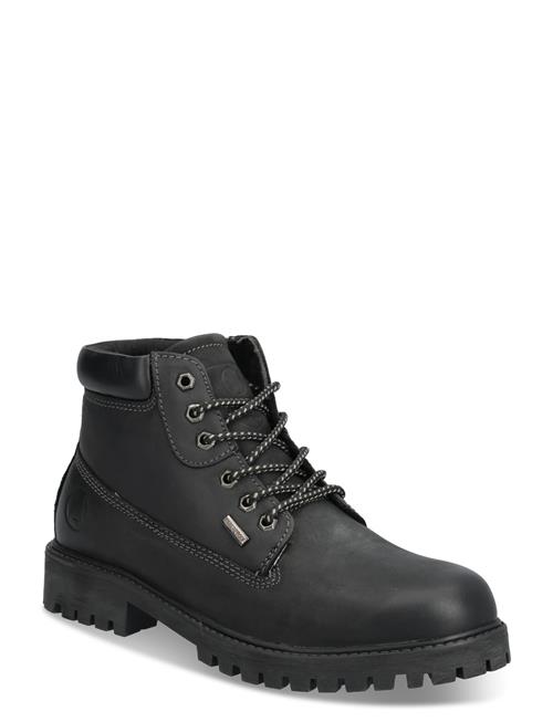 Axelda | Parma Wp | 40