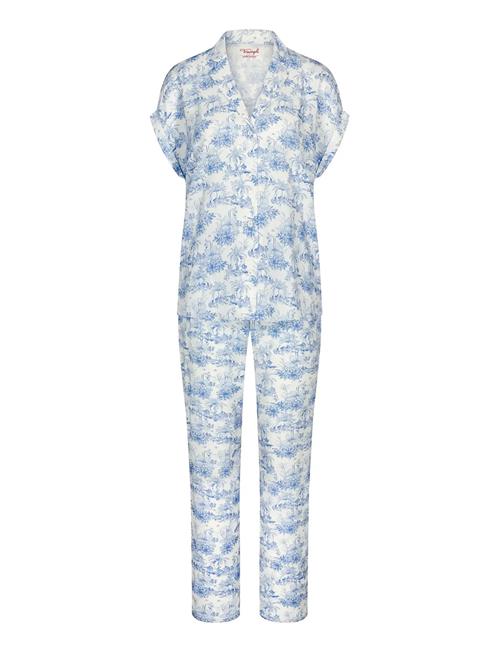 Triumph | Boyfriend Fit Pw X | 46