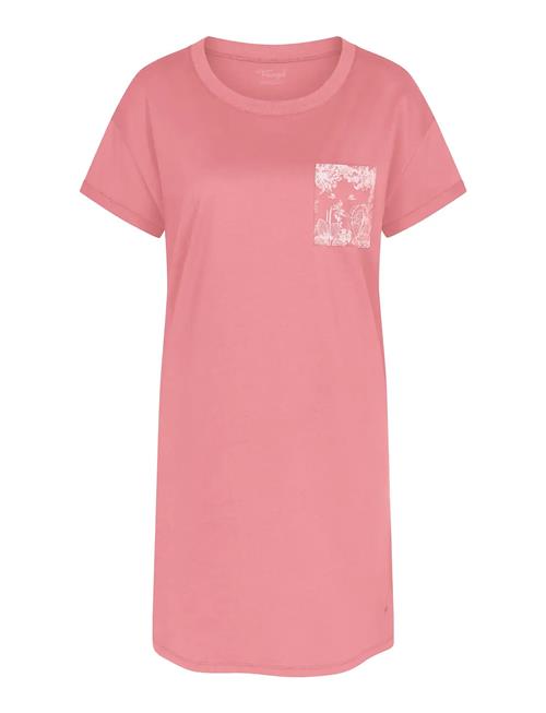 Triumph | Nightdresses Ndk X 02 | 42