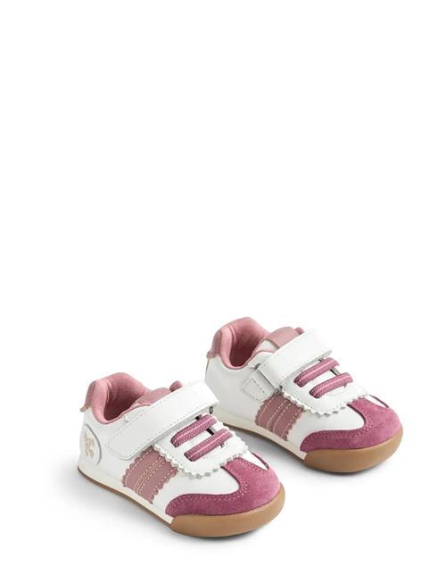 Wheat | Sneaker Spectra | 24