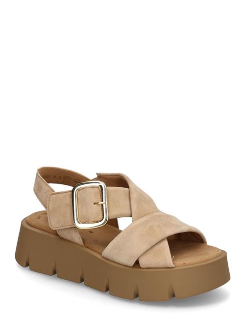 Gabor | Sandal | 40.5
