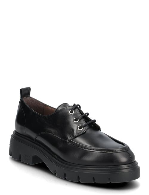 Wonders | Bones 02 | 41