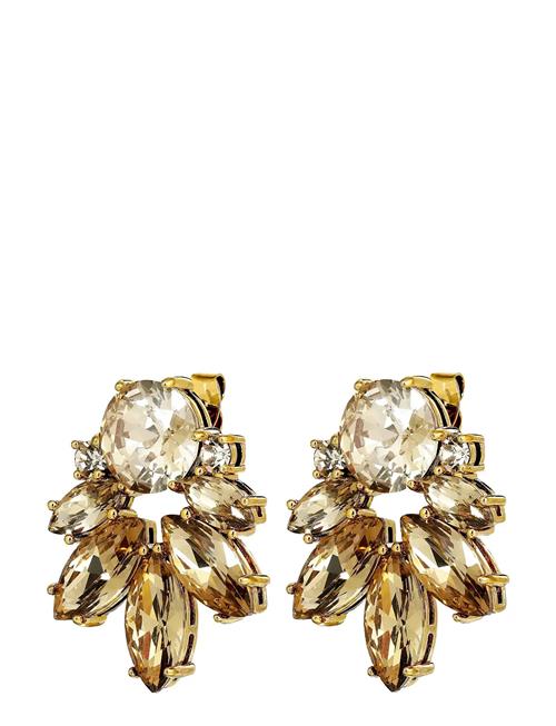 Dyrberg/Kern | Drago Sg Golden | ONE SIZE