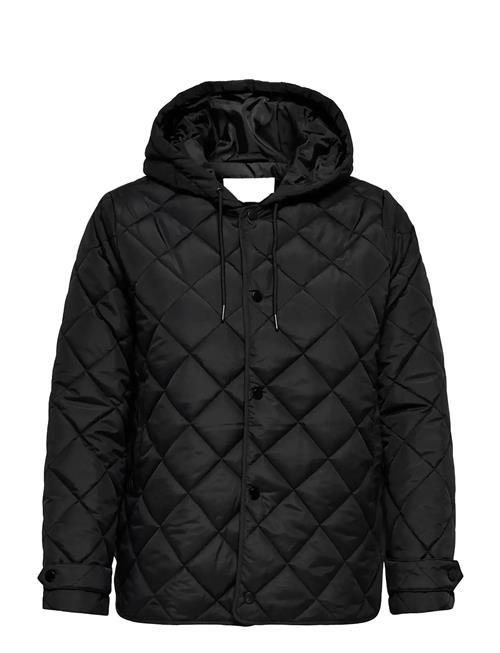 ONLY Carmakoma | Carjuliet Quilted Hood Jacket Noos | 42-44