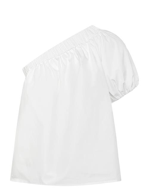 2NDDAY | 2Nd Cal - Fine Crispy Poplin | 42