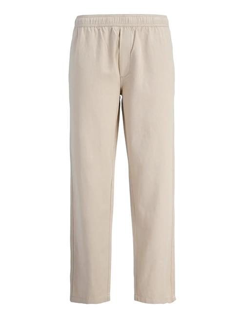 Jack & Jones | Jpstkarl Ivy Jogger Sn | XL