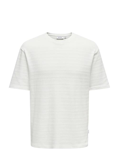 ONLY & SONS | Onsgivo Reg 12 Ss Crew Knit Noos | L