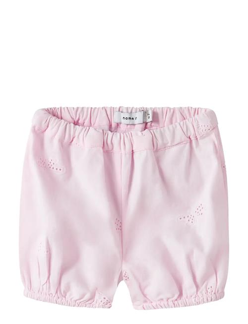 name it | Nbffinas Bloomer | 74